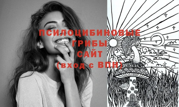 гашик Медвежьегорск